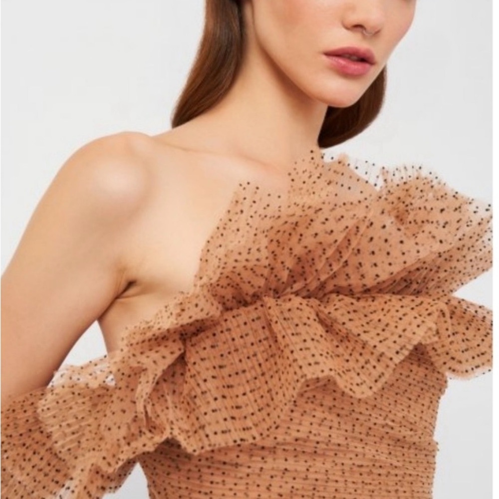 Zara Tan and Black Polka Dot Dress